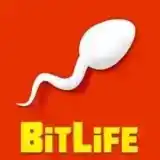 BitLife Simulator